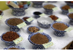 ТАЙЛАНДЫН УРГАМЛЫГ СУРТАЛЧЛАХ АЯНД 5 ЯАМД НЭГДЭВ