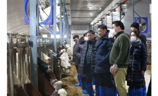 PRESIDENT OF MONGOLIA KHURELSUKH UKHNAA VISITS MILK FARMS