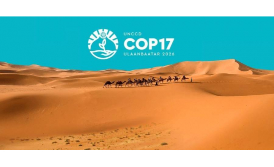 INFORMATION ON COP17 CONFERENCE AVAILABLE ONLINE