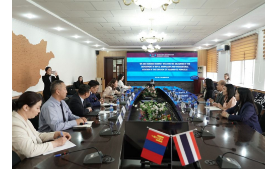 MONGOLIA COOPERATES WITH THAILAND IN WEATHER MODIFICATION IN THE GOBI REGION