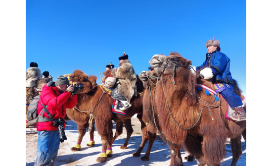 TEN THOUSAND CAMEL FESTIVAL HELD FOR 25TH YEAR